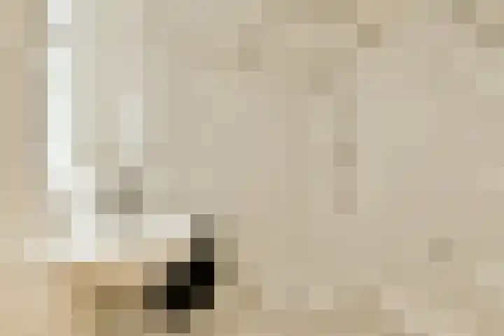 Eerste Atjehstraat 156 2 Amsterdam thumbnail 20