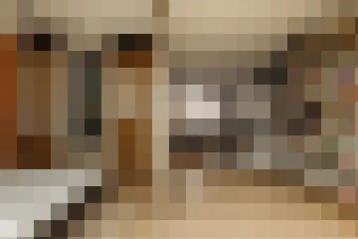 Eerste Atjehstraat 156 2 Amsterdam thumbnail 20