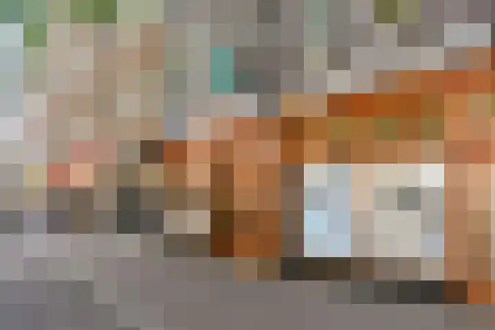 Eerste Atjehstraat 156 2 Amsterdam thumbnail 23