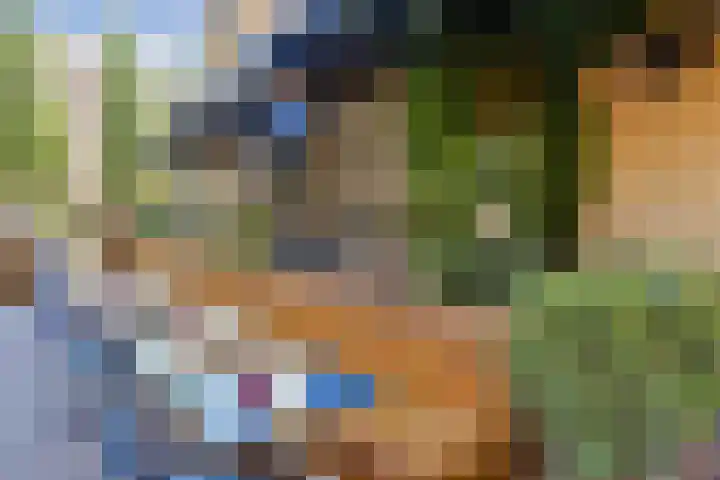 Eerste Atjehstraat 156 2 Amsterdam thumbnail 25