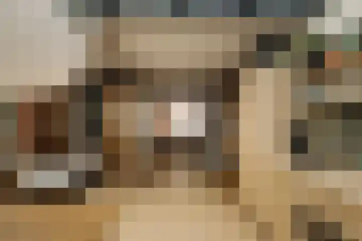 Eerste Atjehstraat 156 2 Amsterdam thumbnail 6