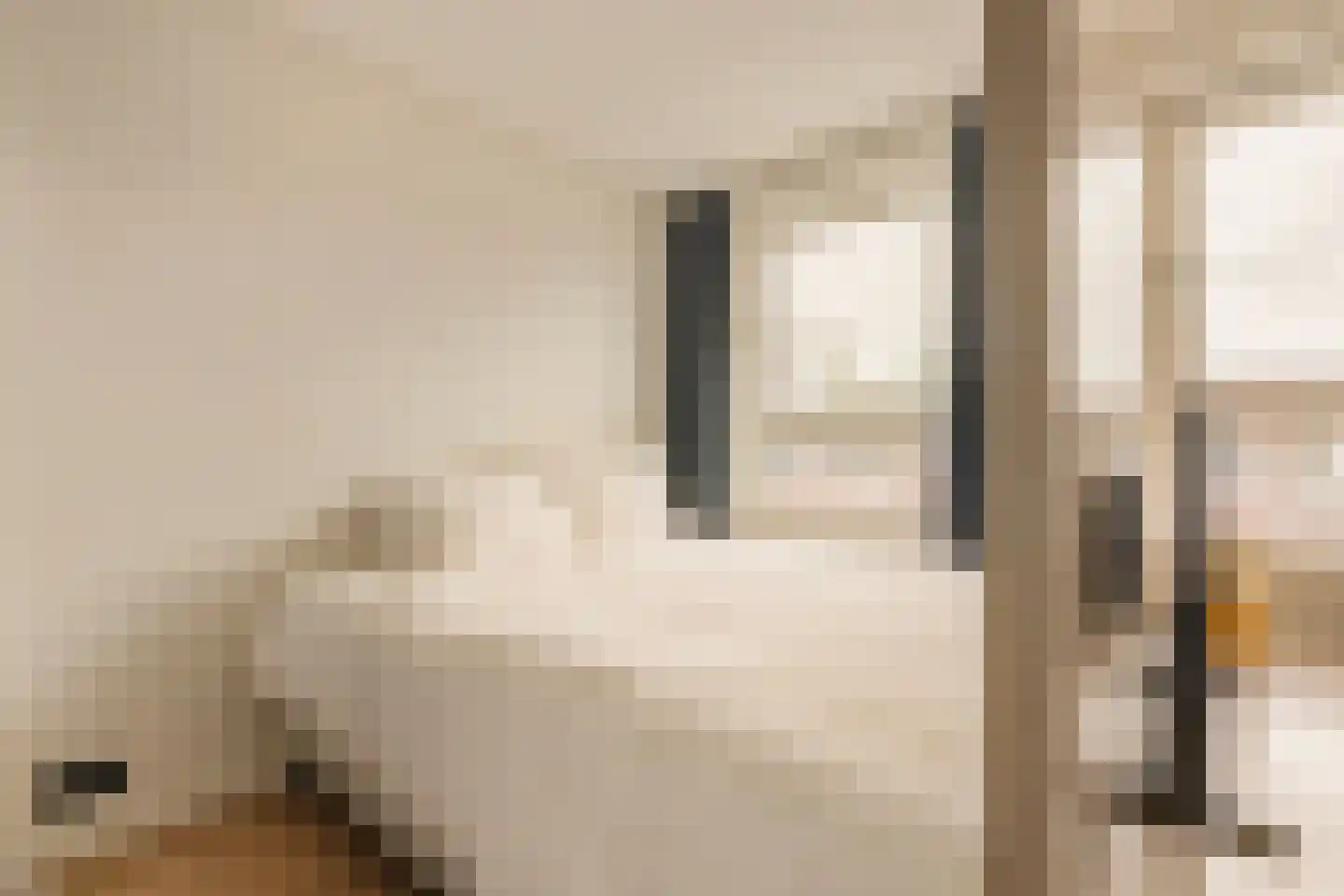 Eerste Atjehstraat 25 1 Amsterdam thumbnail 19