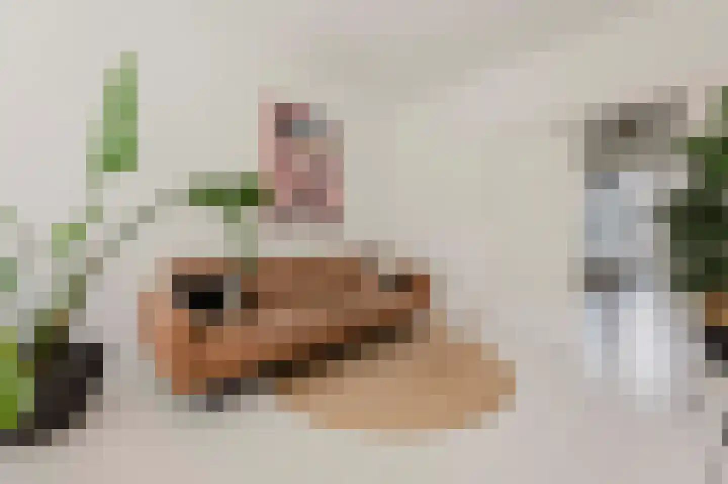 Eerste Atjehstraat 29 4 Amsterdam thumbnail 6