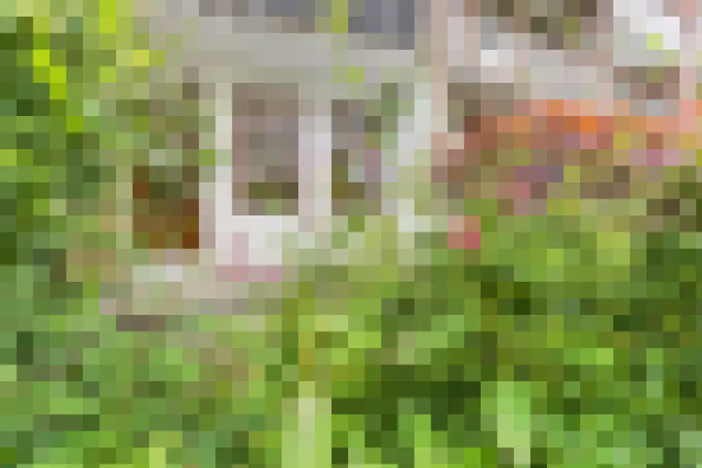 Eerste Atjehstraat 31 1 Amsterdam thumbnail 14