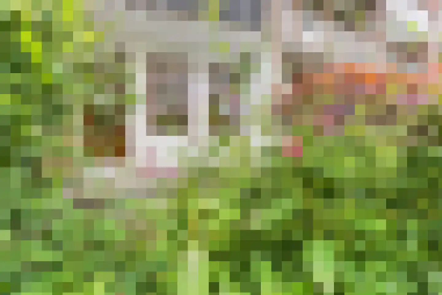 Eerste Atjehstraat 31 1 Amsterdam thumbnail 14