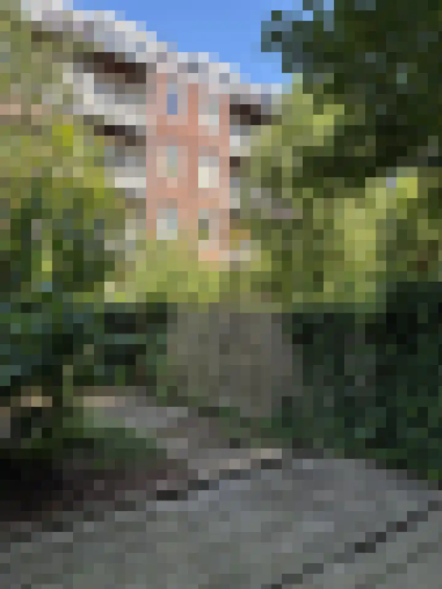 Eerste Atjehstraat 31 H Amsterdam thumbnail 17