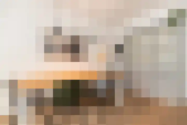 Eerste Atjehstraat 41 2 Amsterdam thumbnail 11