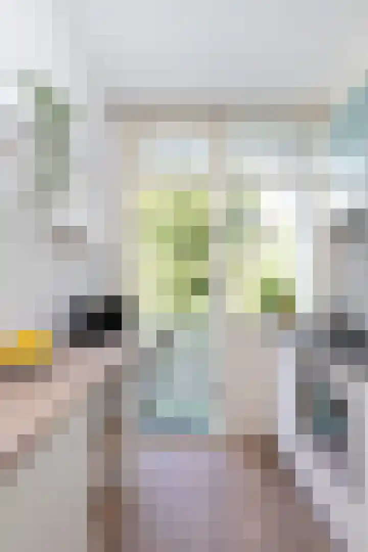 Eerste Atjehstraat 41 2 Amsterdam thumbnail 14