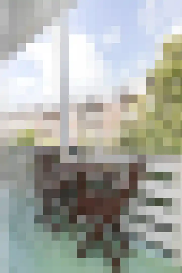 Eerste Atjehstraat 41 2 Amsterdam thumbnail 16