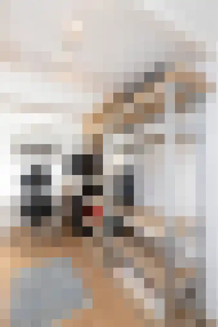 Eerste Atjehstraat 41 2 Amsterdam thumbnail 25