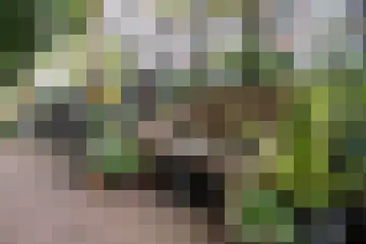 Eerste Atjehstraat 41 2 Amsterdam thumbnail 31