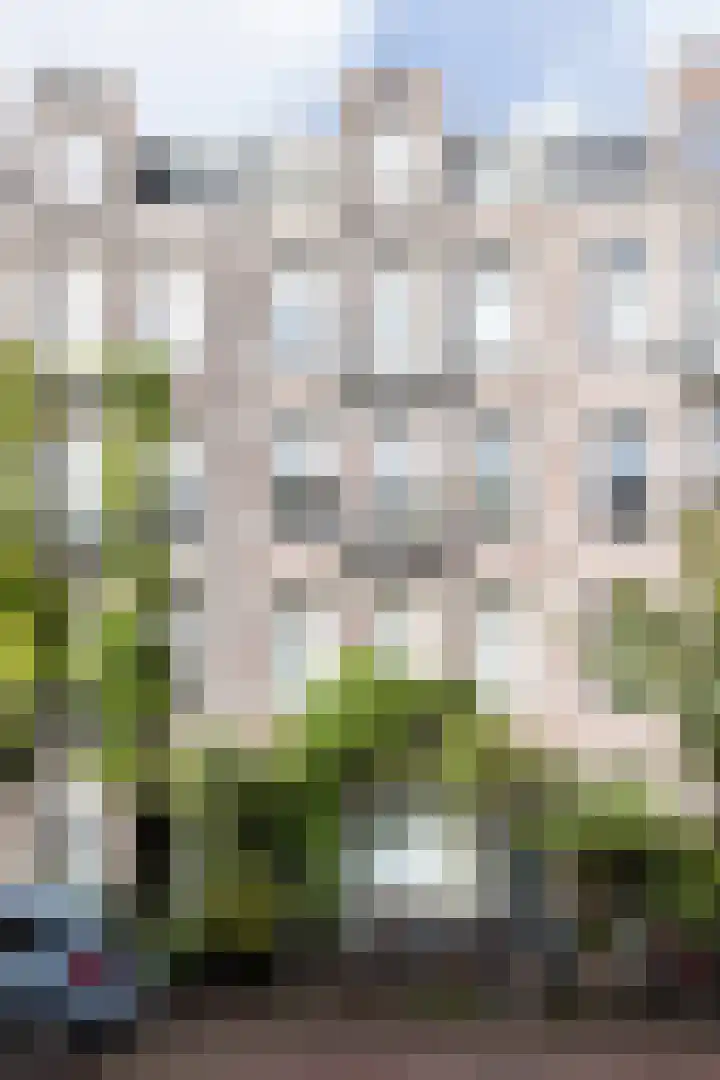 Eerste Atjehstraat 41 2 Amsterdam thumbnail 32