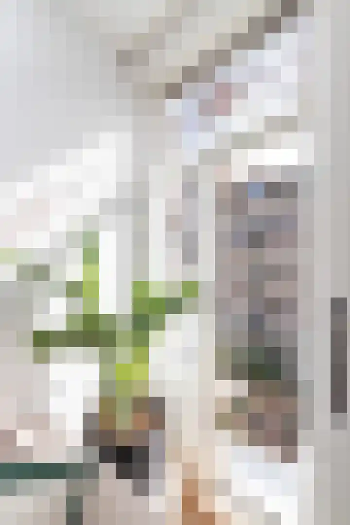 Eerste Atjehstraat 41 2 Amsterdam thumbnail 9