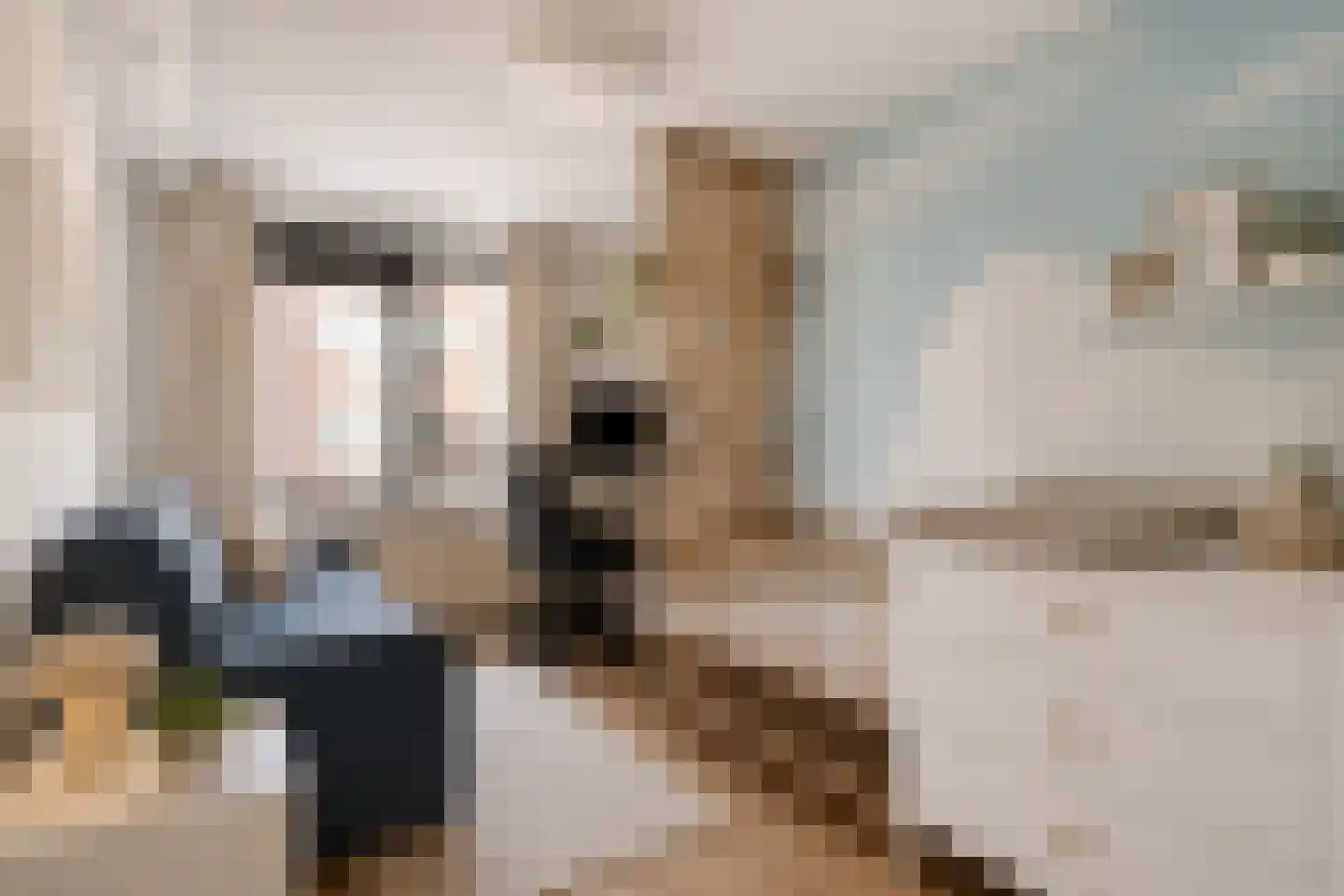 Eerste Atjehstraat 6 B Amsterdam thumbnail 18
