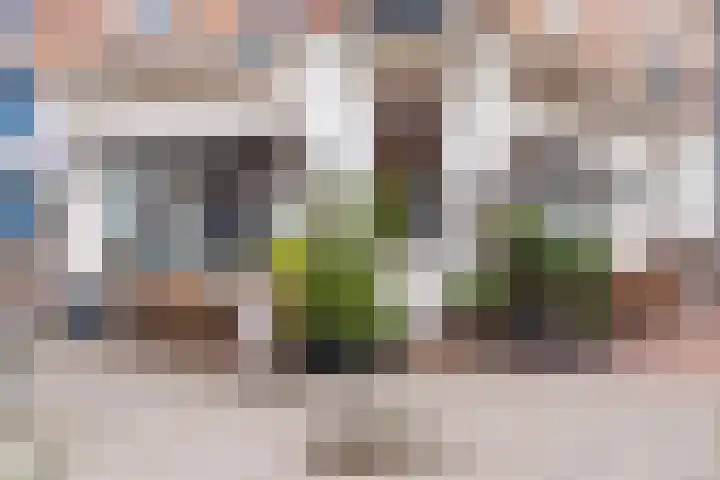 Eerste Atjehstraat 67 1 Amsterdam thumbnail 29