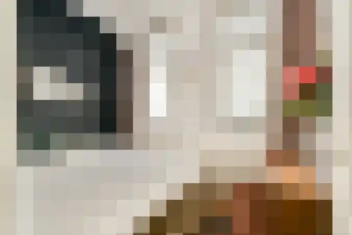 Eerste Atjehstraat 69 H Amsterdam thumbnail 13