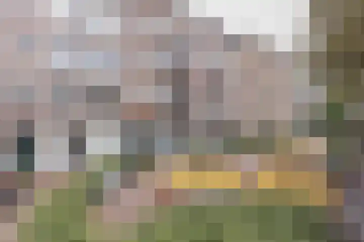 Eerste Atjehstraat 75 F Amsterdam thumbnail 33