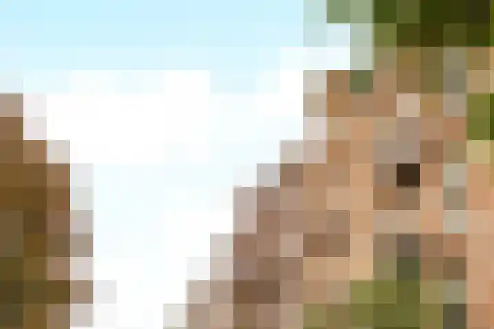 Eerste Atjehstraat 75 K Amsterdam thumbnail 23