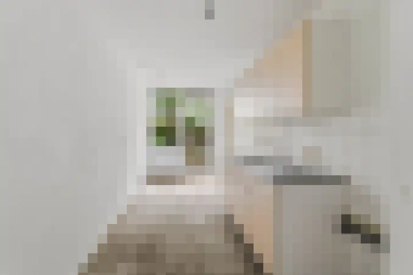 Eerste Atjehstraat 9 A Amsterdam thumbnail 8