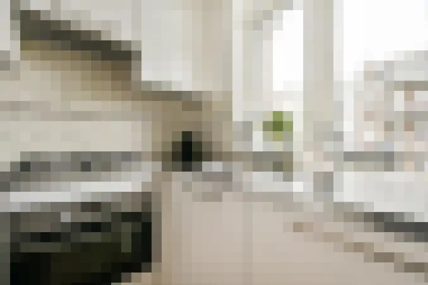 Eerste Atjehstraat 97 2 Amsterdam thumbnail 12