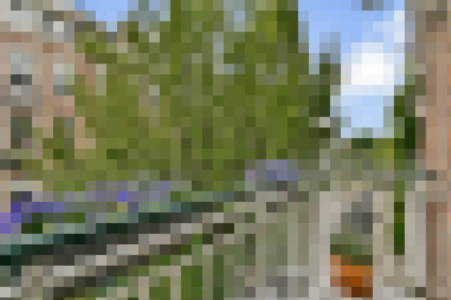 Eerste Atjehstraat 97 2 Amsterdam thumbnail 8