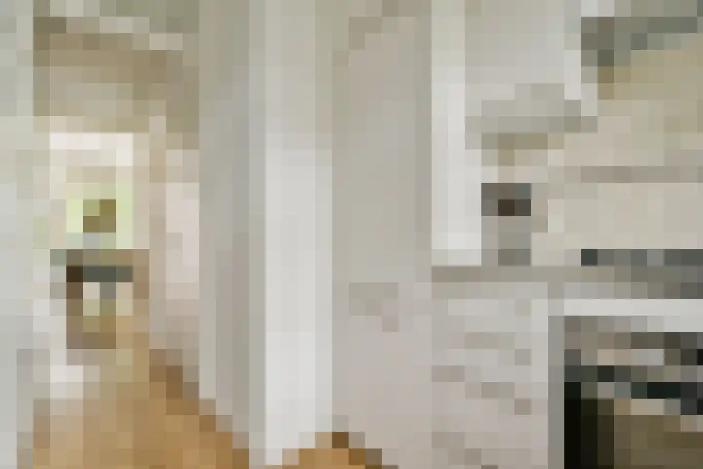 Eerste Atjehstraat 97 2 Amsterdam thumbnail 9