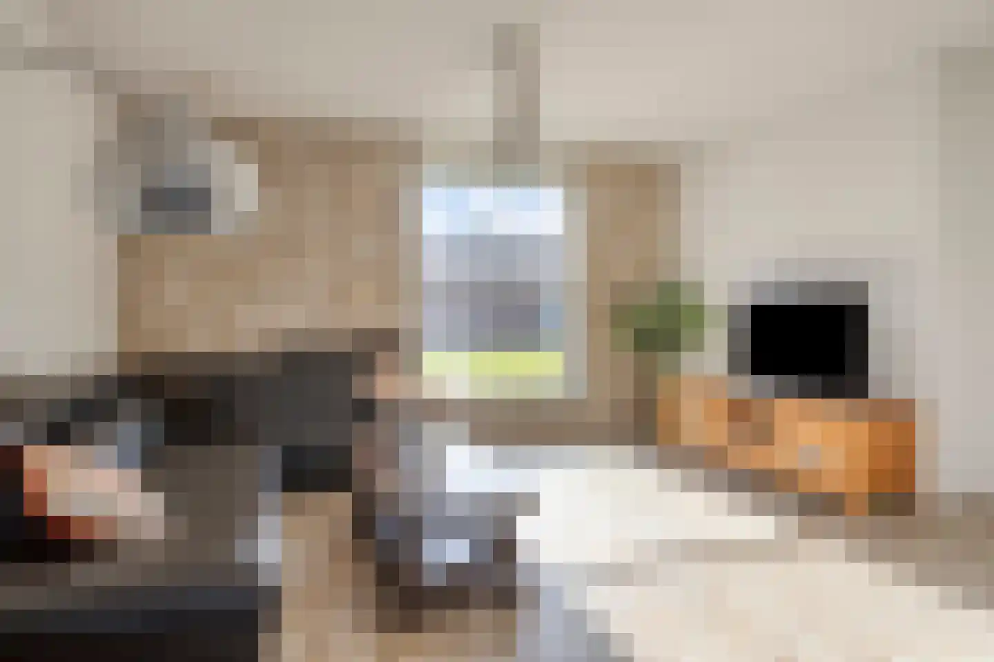 Eerste Avendonkstraat 5 's-Hertogenbosch thumbnail 5