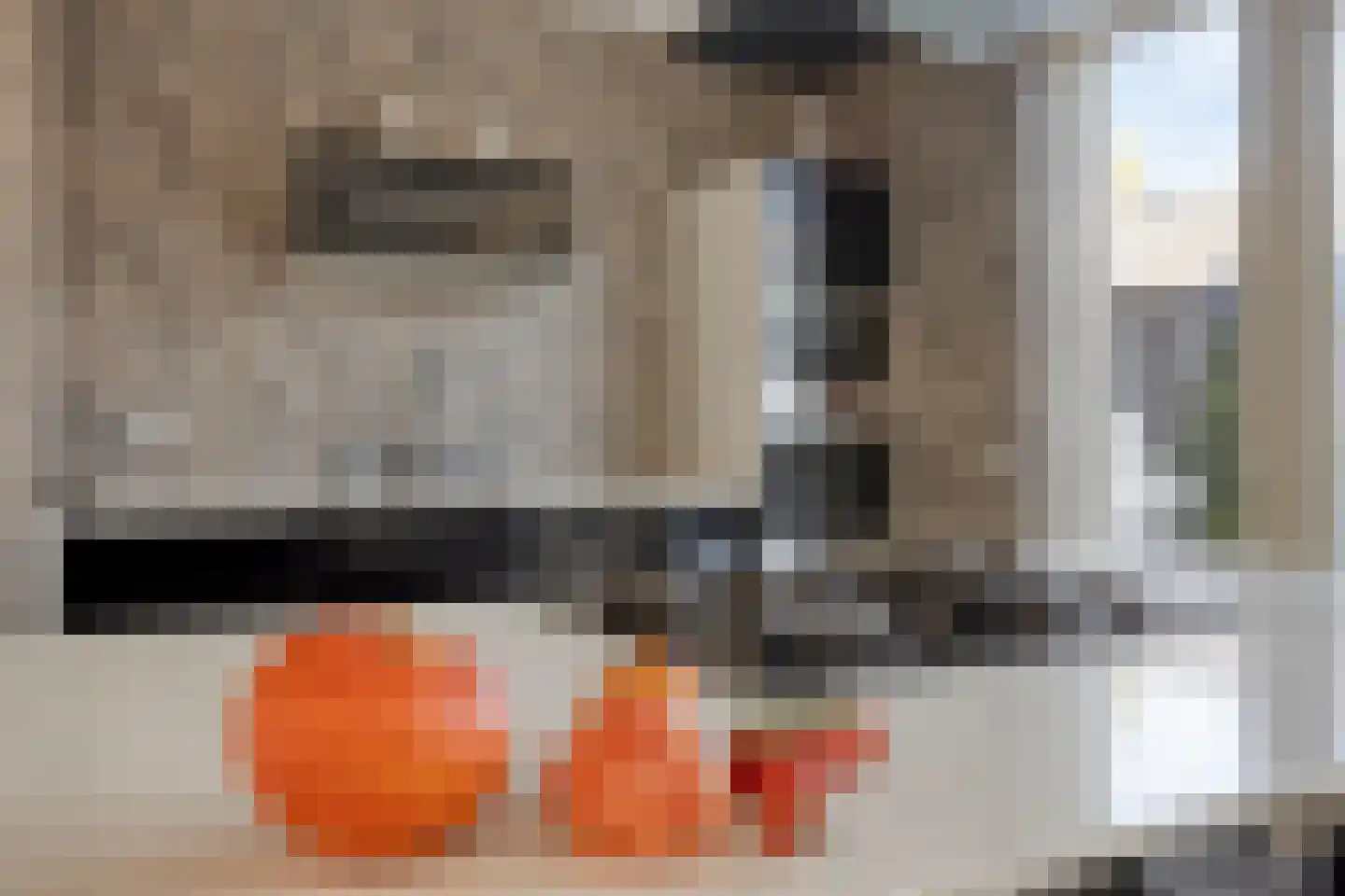 Eerste Avendonkstraat 5 's-Hertogenbosch thumbnail 9