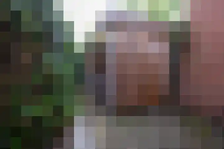 Eerste Baan 3 A Zwolle thumbnail 16