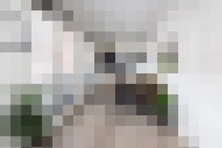 Eerste Baan 3 A Zwolle thumbnail 5