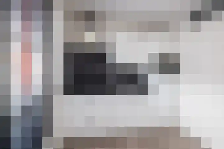 Eerste Baan 3 A Zwolle thumbnail 6