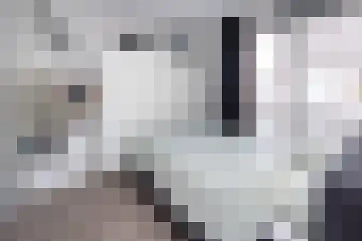 Eerste Baan 3 A Zwolle thumbnail 8