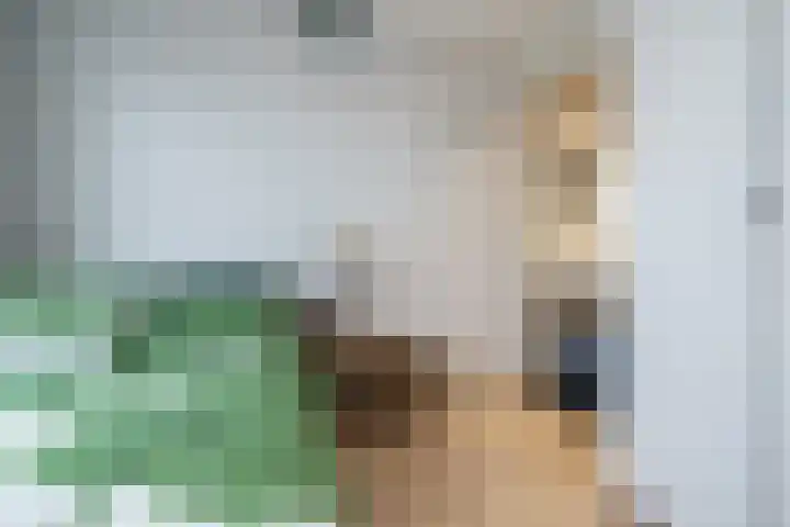 Eerste Baan 5 Zwolle thumbnail 12