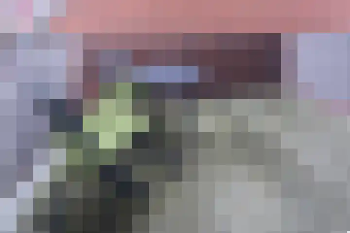 Eerste Baan 5 Zwolle thumbnail 16