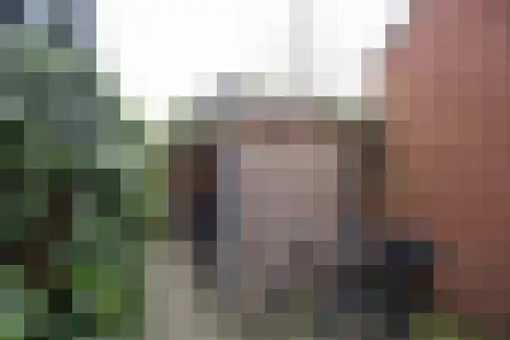 Eerste Baan 5 Zwolle thumbnail 19
