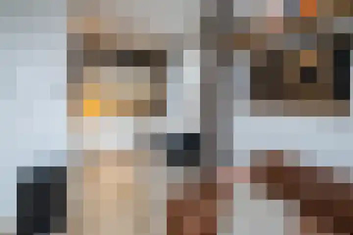 Eerste Baan 5 Zwolle thumbnail 5