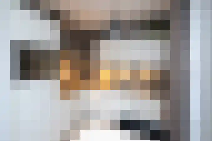 Eerste Baan 5 Zwolle thumbnail 7