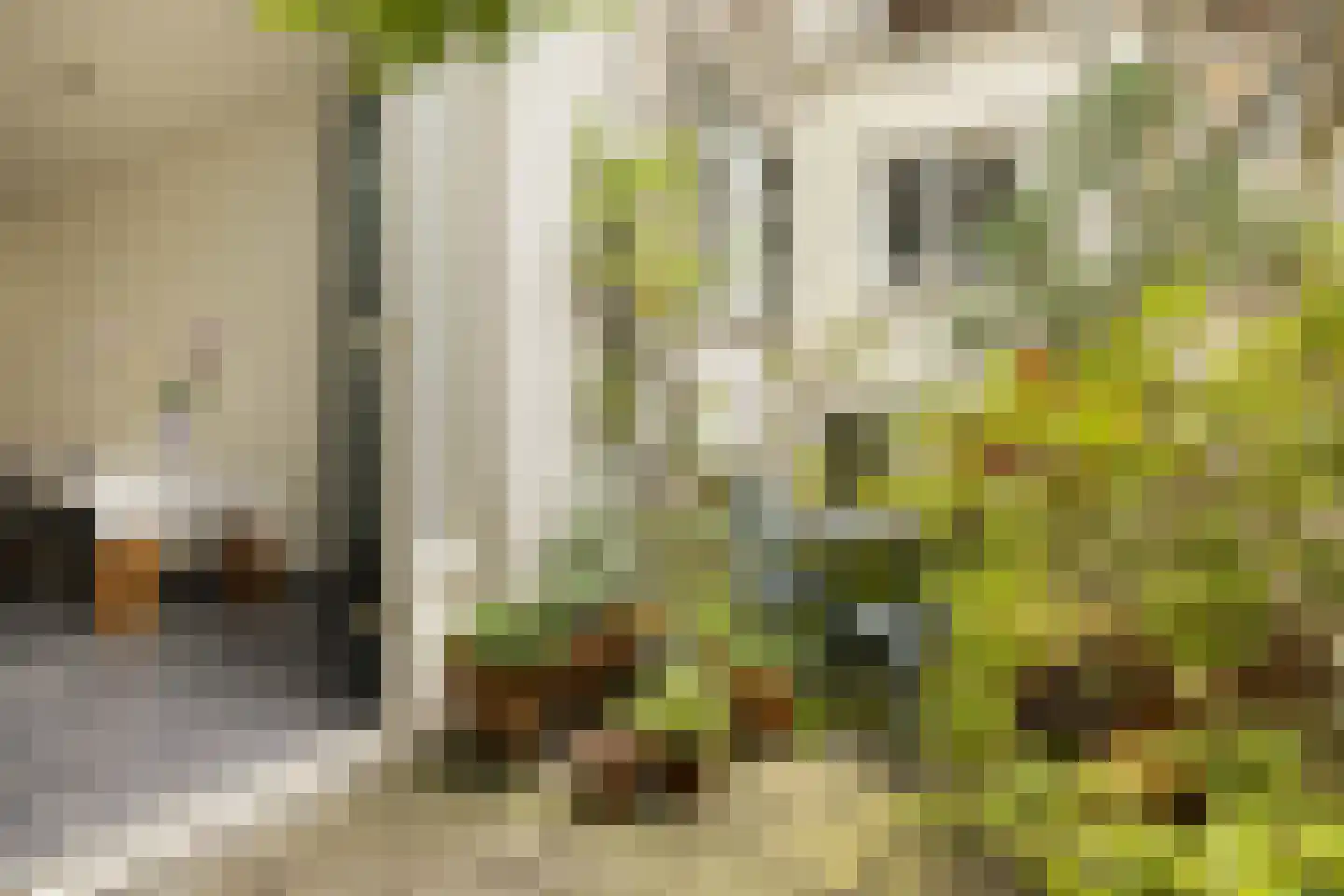 Eerste Bloemdwarsstraat 18 A Amsterdam thumbnail 10