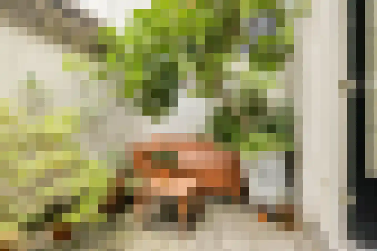 Eerste Bloemdwarsstraat 18 A Amsterdam thumbnail 11