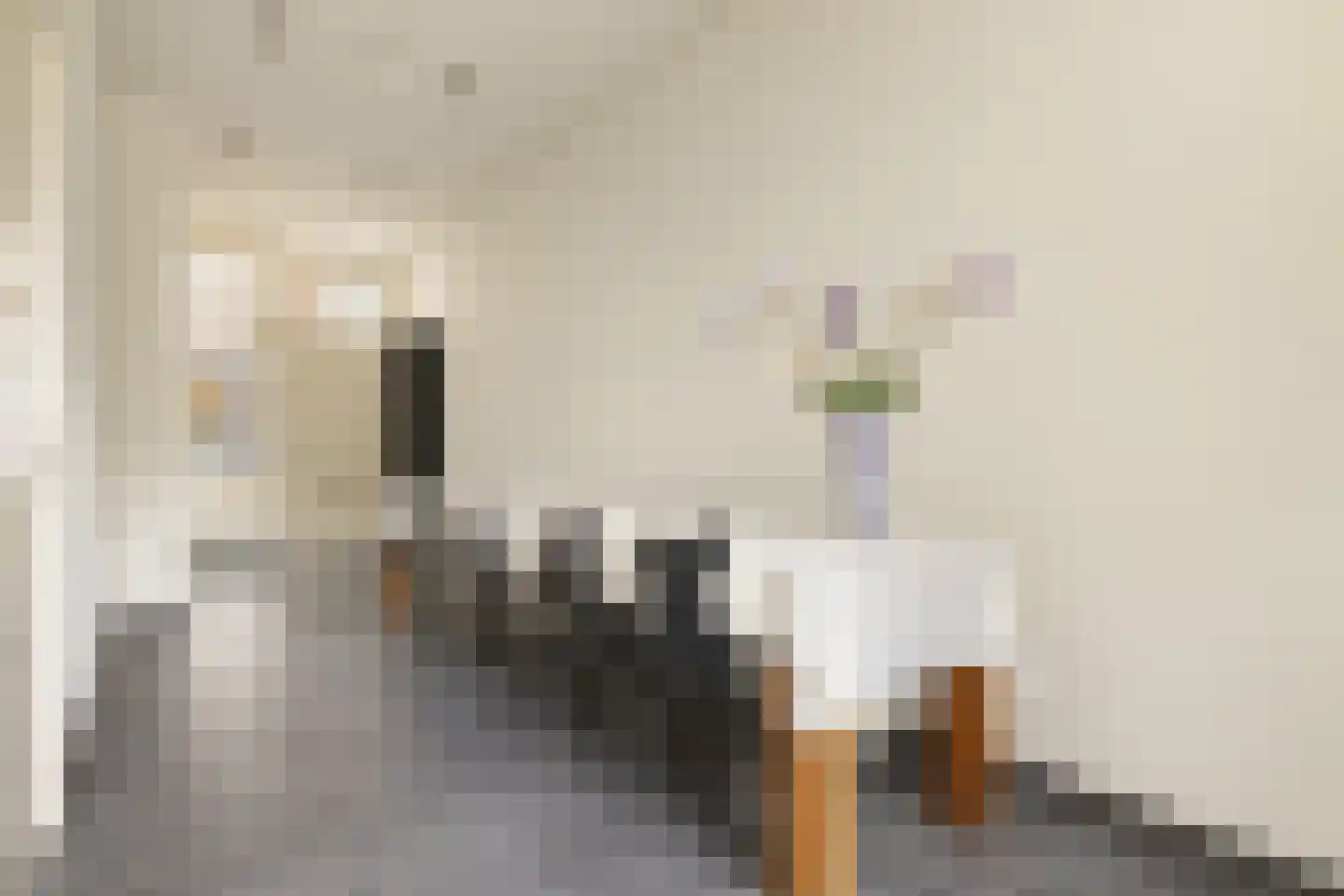 Eerste Bloemdwarsstraat 18 A Amsterdam thumbnail 13