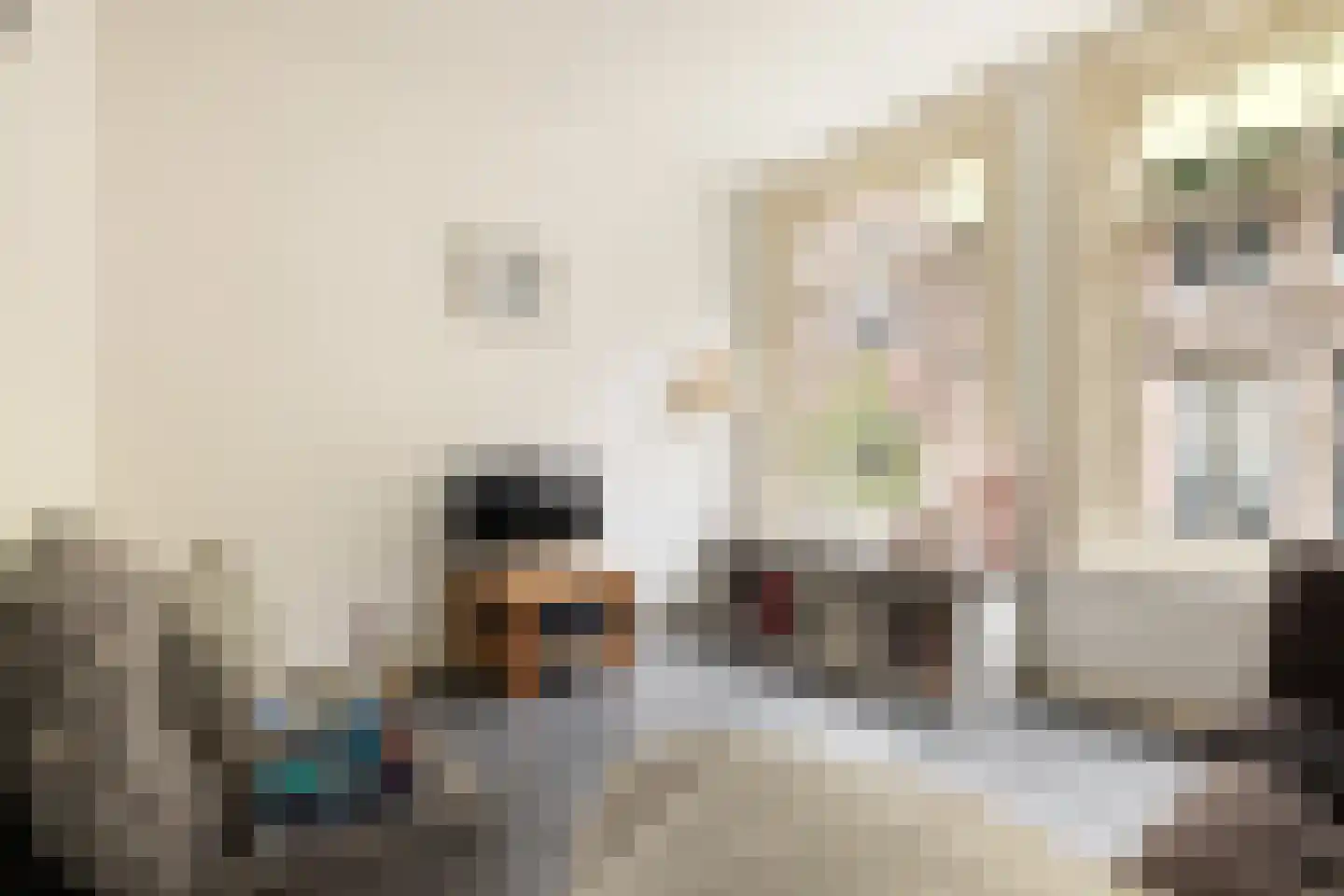 Eerste Bloemdwarsstraat 18 A Amsterdam thumbnail 16