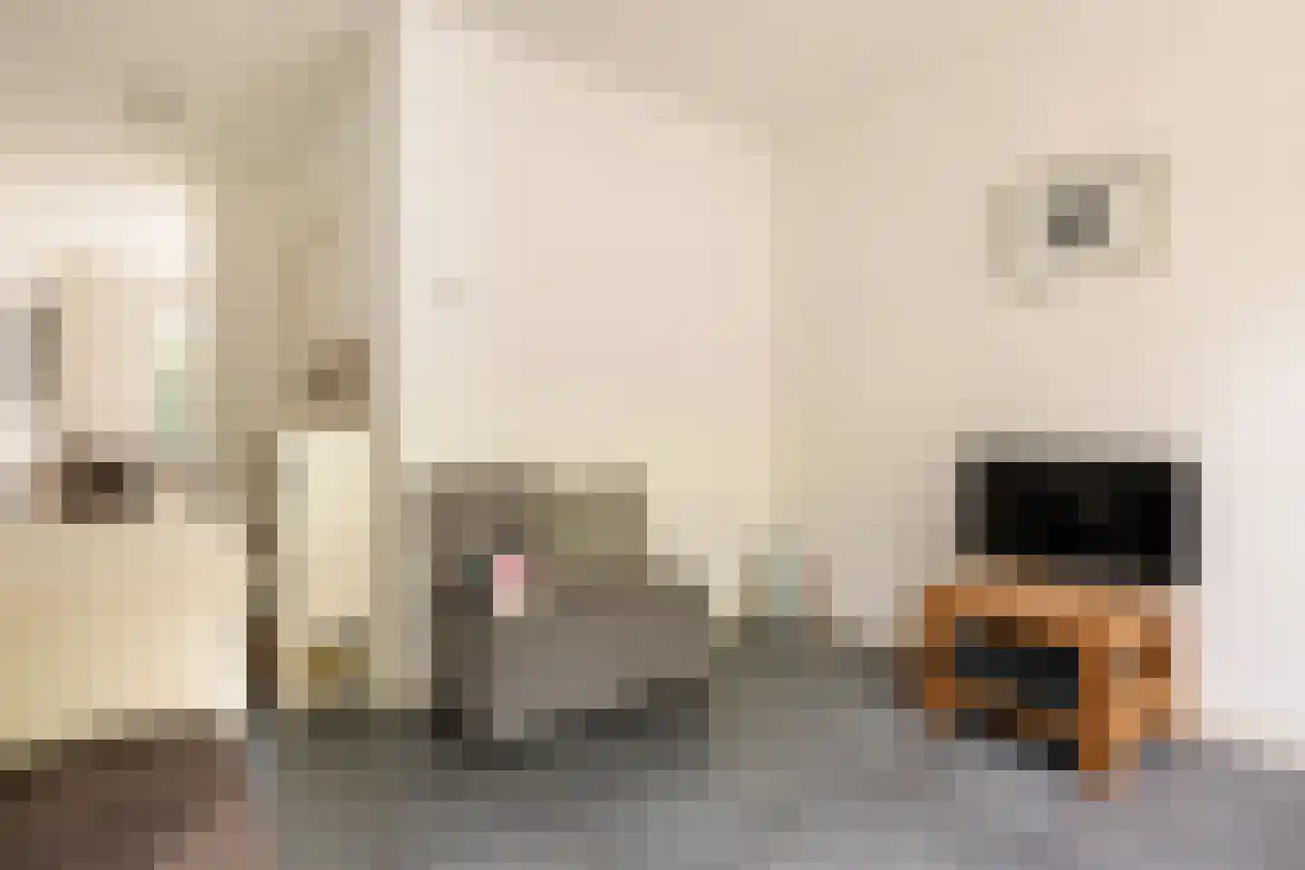 Eerste Bloemdwarsstraat 18 A Amsterdam thumbnail 18