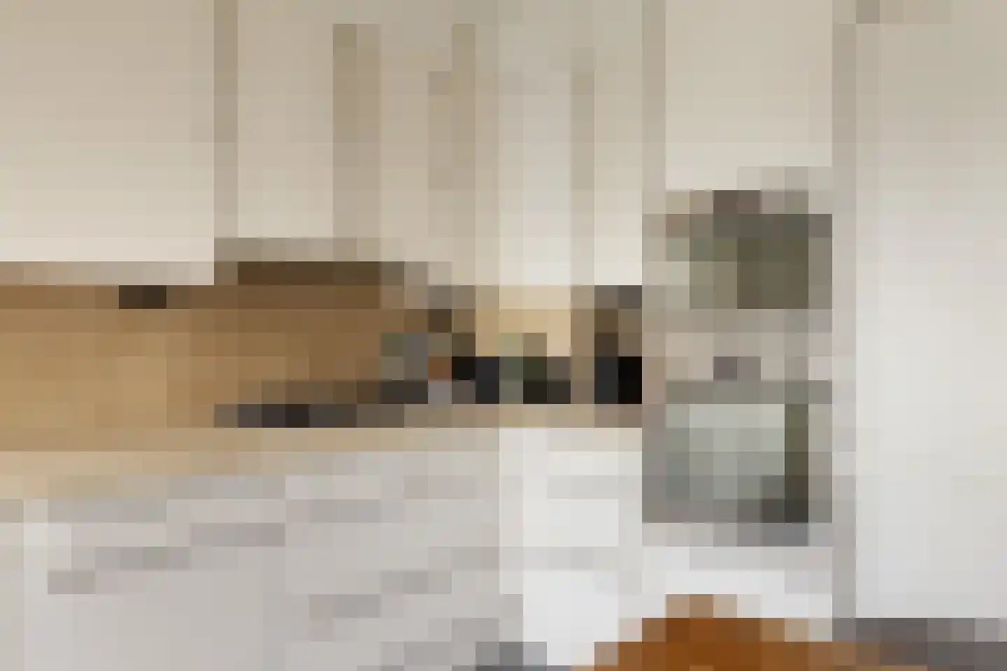 Eerste Bloemdwarsstraat 18 A Amsterdam thumbnail 23