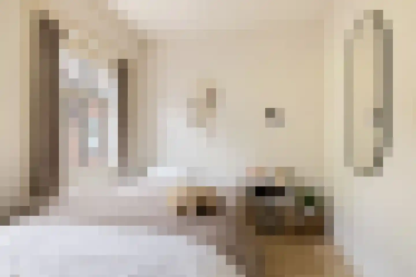 Eerste Bloemdwarsstraat 18 A Amsterdam thumbnail 29