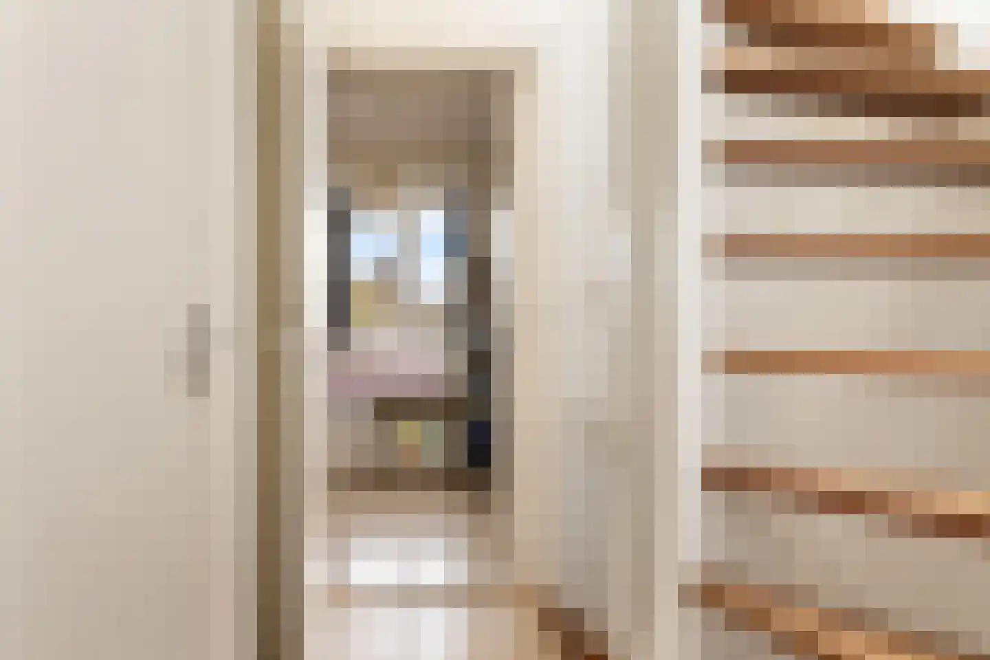 Eerste Bloemdwarsstraat 18 A Amsterdam thumbnail 37