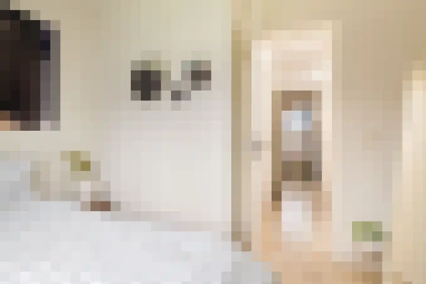 Eerste Bloemdwarsstraat 18 A Amsterdam thumbnail 44
