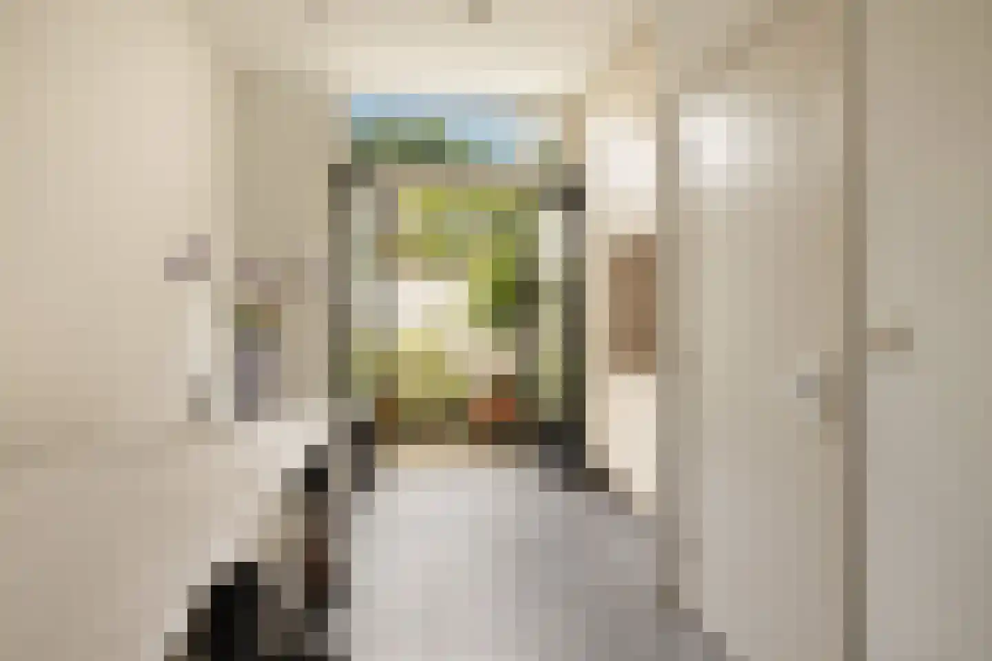 Eerste Bloemdwarsstraat 18 A Amsterdam thumbnail 5