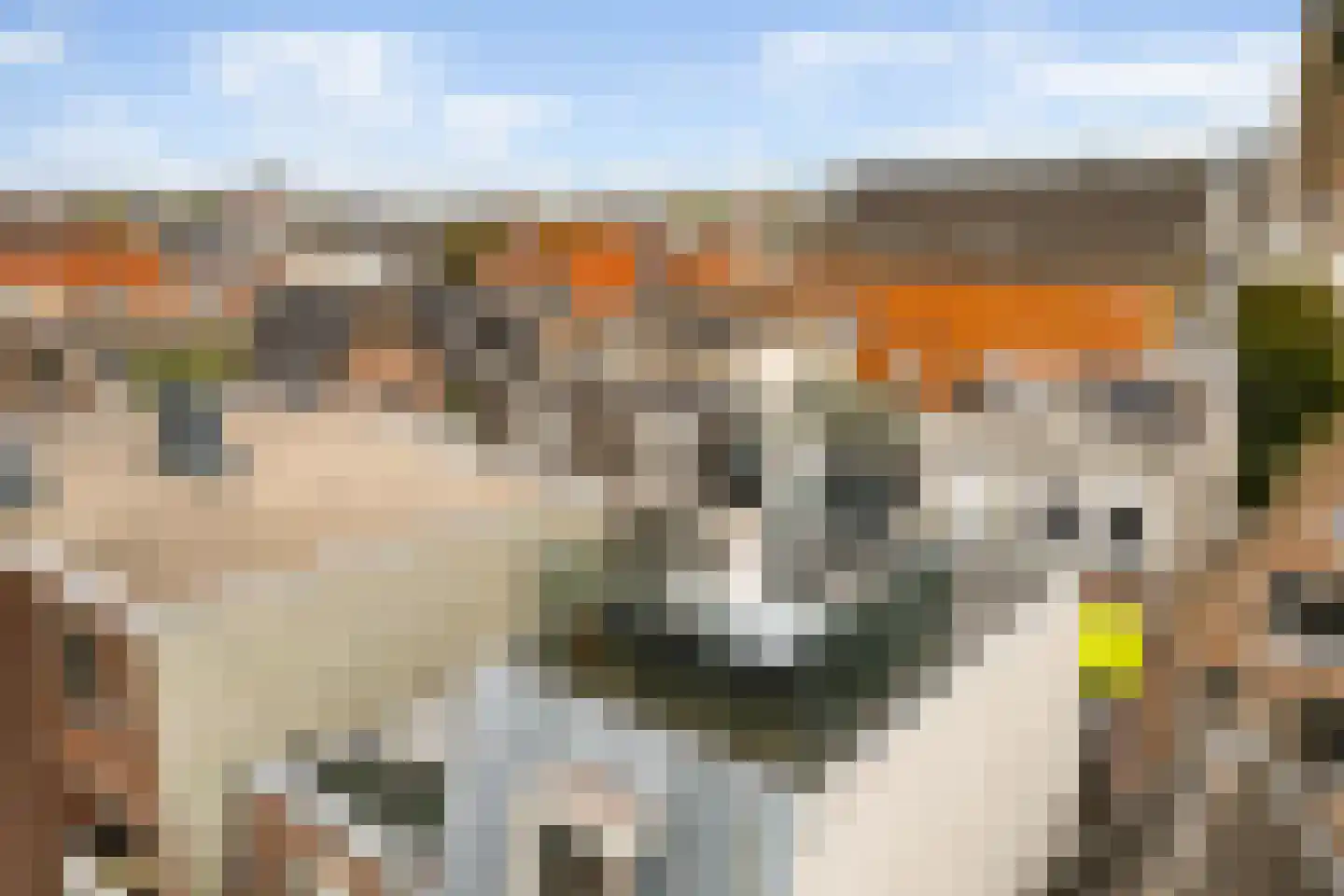 Eerste Bloemdwarsstraat 18 A Amsterdam thumbnail 58