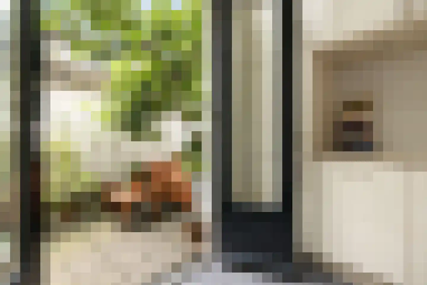 Eerste Bloemdwarsstraat 18 A Amsterdam thumbnail 7