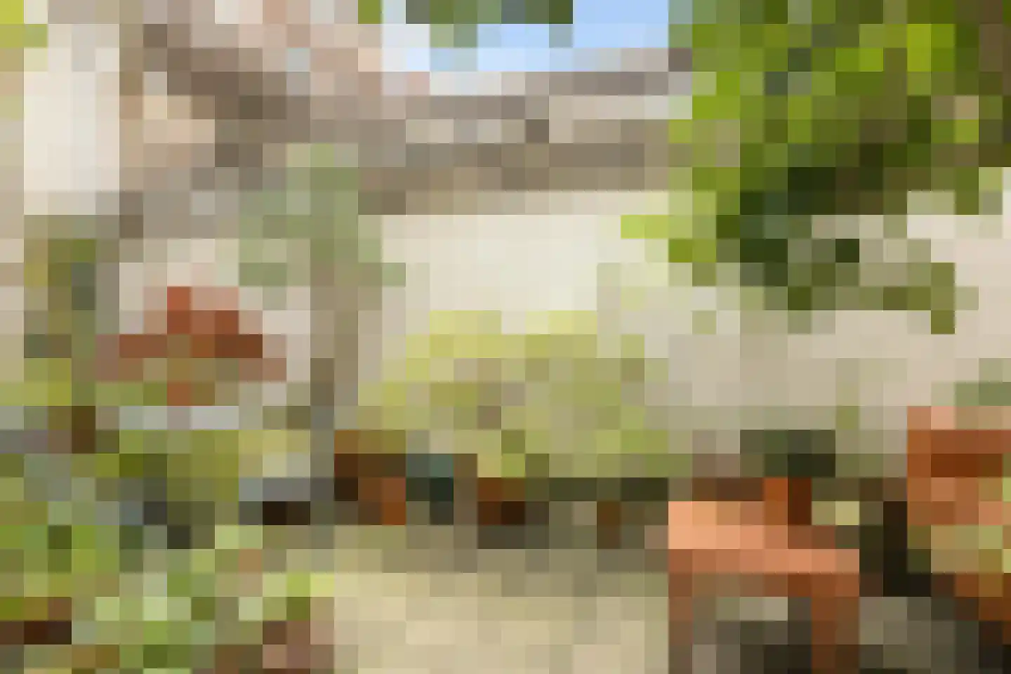 Eerste Bloemdwarsstraat 18 A Amsterdam thumbnail 8